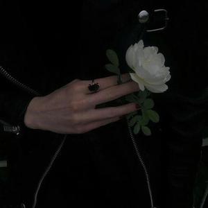 女性向做爱影片
